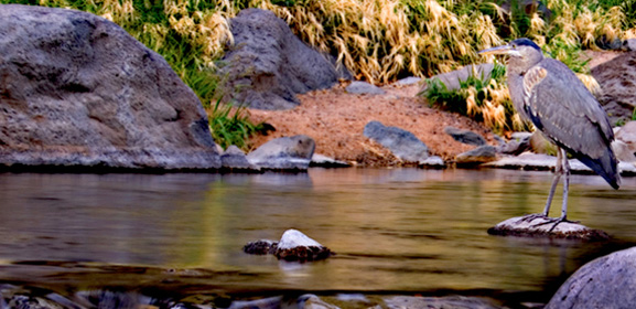 Retreats at the Junipine Resort