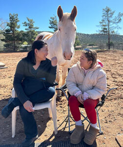 Equestrian therapy